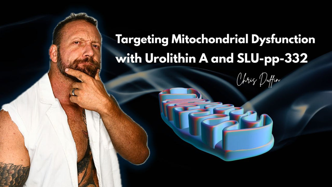 A Systems Biology Approach to Mitochondrial Renewal: Pairing Urolithin A with SLU-pp-332